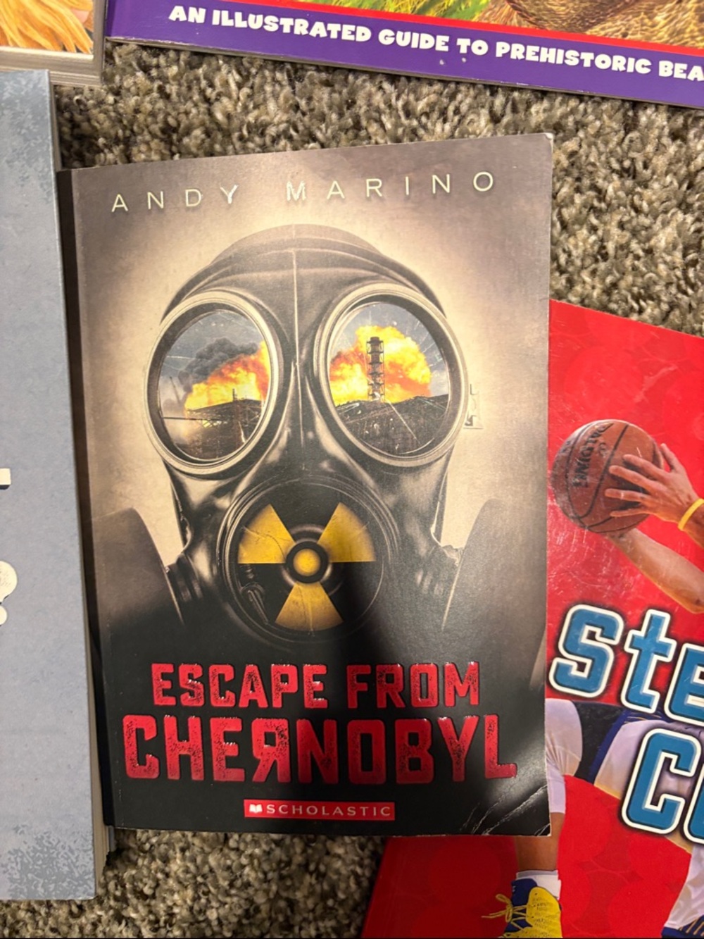 Book Bundle ! - Picture 6 of 14